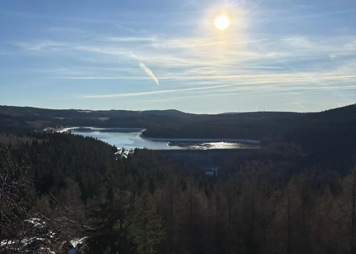 Flaje